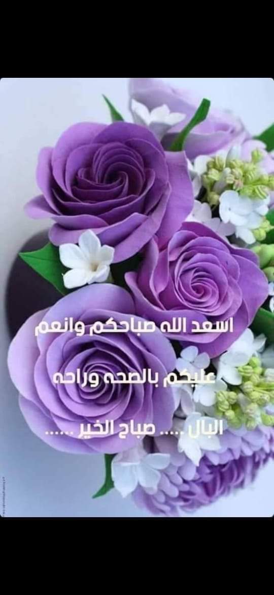 ايه التوصيات المطلوبه عند زراعه البنجر - بنجر