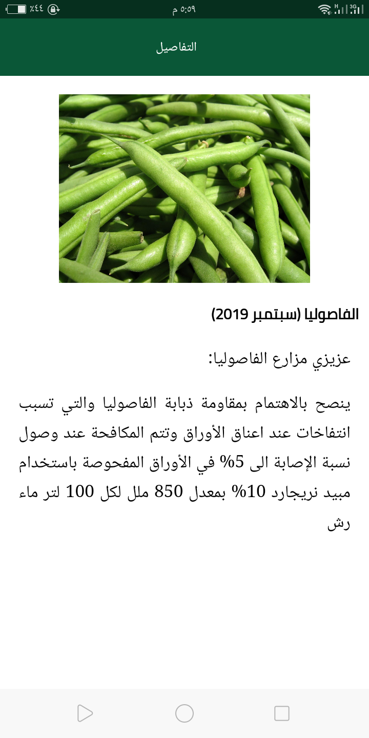 لماذا يتم وضع كبريتات الزنك للارز - مافائدة كبريتات الزنك للارز