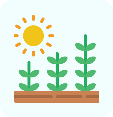 sprouts icon